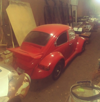 Beetle Whale Tail