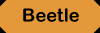 Beetle