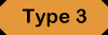 Type 3